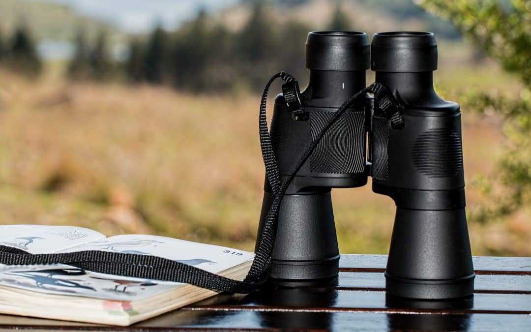 How to Buy Binoculars
